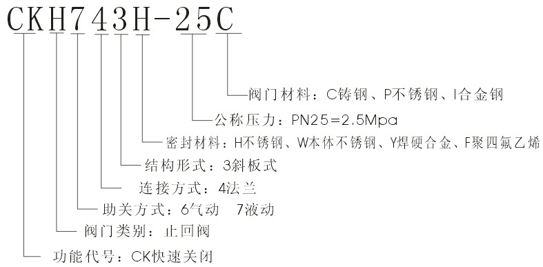 液动式快速关闭止回阀 - 上海奇高阀门制造有限公司